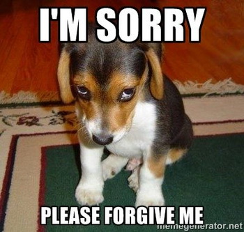 sorry dog